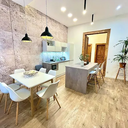 Downtown Spacious Luxury Residency - Budapeşte